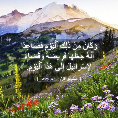 Picture 05 - صَمُوئِيلَ ٱلْأَوَّلُ 30:25 AVD - وَكَانَ مِنْ ذَلِكَ - Bible Verse Picture
