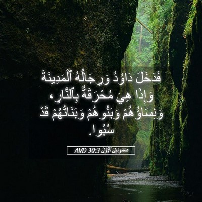 Picture 05 - صَمُوئِيلَ ٱلْأَوَّلُ 30:3 AVD - فَدَخَلَ دَاوُدُ - Bible Verse Picture