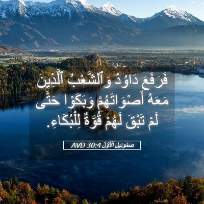 Picture 05 - صَمُوئِيلَ ٱلْأَوَّلُ 30:4 AVD - فَرَفَعَ دَاوُدُ - Bible Verse Picture