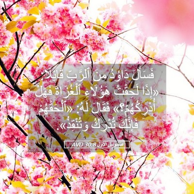 Picture 05 - صَمُوئِيلَ ٱلْأَوَّلُ 30:8 AVD - فَسَأَلَ دَاوُدُ مِنَ - Bible Verse Picture