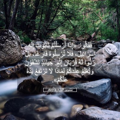 Picture 05 - صَمُوئِيلَ ٱلْأَوَّلُ 6:3 AVD - فَقَالُوا: «إِذَا - Bible Verse Picture