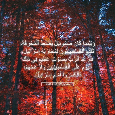 Picture 05 - صَمُوئِيلَ ٱلْأَوَّلُ 7:10 AVD - وَبَيْنَمَا كَانَ - Bible Verse Picture