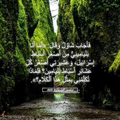Picture 05 - صَمُوئِيلَ ٱلْأَوَّلُ 9:21 AVD - فَأَجَابَ شَاوُلُ وَقَالَ: - Bible Verse Picture