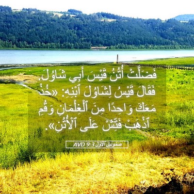 Picture 05 - صَمُوئِيلَ ٱلْأَوَّلُ 9:3 AVD - فَضَلَّتْ أُتُنُ قَيْسَ - Bible Verse Picture