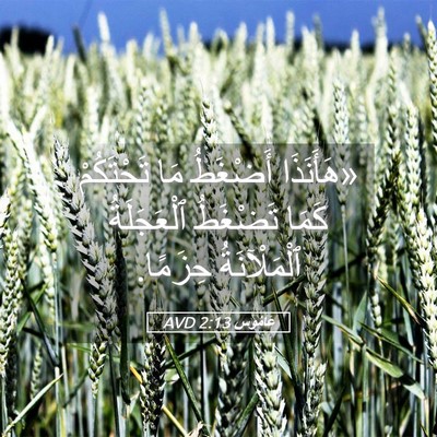 Picture 05 - عَامُوس 2:13 AVD - «هَأَنَذَا أَضْغَطُ مَا - Bible Verse Picture