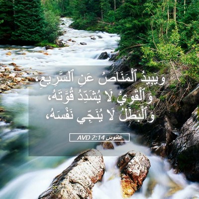 Picture 05 - عَامُوس 2:14 AVD - وَيَبِيدُ ٱلْمَنَاصُ عَنِ - Bible Verse Picture