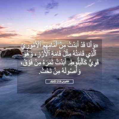Picture 05 - عَامُوس 2:9 AVD - «وَأَنَا قَدْ أَبَدْتُ - Bible Verse Picture