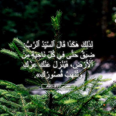 Picture 05 - عَامُوس 3:11 AVD - لِذَلِكَ هَكَذَا قَالَ - Bible Verse Picture
