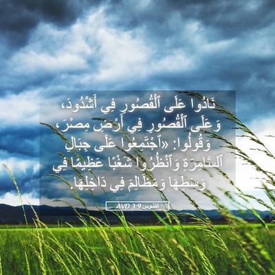 Picture 05 - عَامُوس 3:9 AVD - نَادُوا عَلَى ٱلْقُصُورِ - Bible Verse Picture