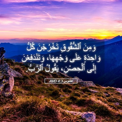 Picture 05 - عَامُوس 4:3 AVD - وَمِنَ ٱلشُّقُوقِ - Bible Verse Picture