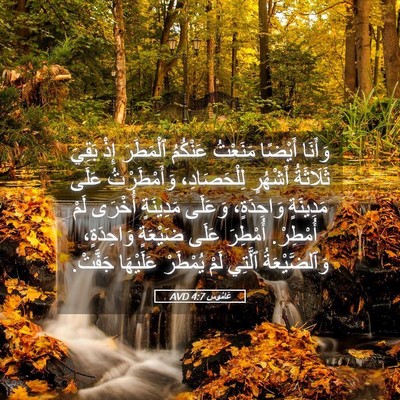 Picture 05 - عَامُوس 4:7 AVD - وَأَنَا أَيْضًا مَنَعْتُ - Bible Verse Picture