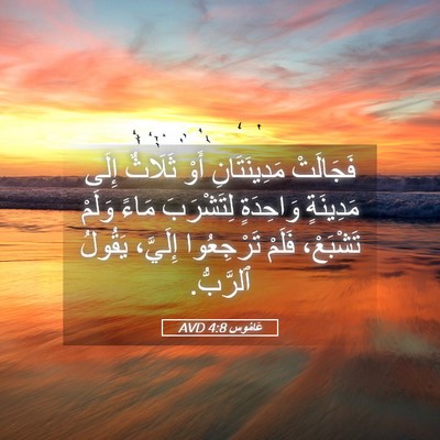 Picture 05 - عَامُوس 4:8 AVD - فَجَالَتْ مَدِينَتَانِ - Bible Verse Picture