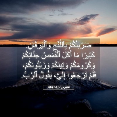 Picture 05 - عَامُوس 4:9 AVD - ضَرْبَتُكُمْ بِٱللَّفْحِ - Bible Verse Picture