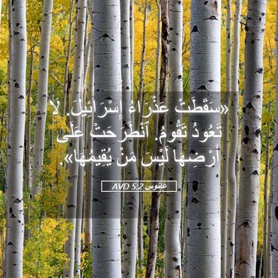 Picture 05 - عَامُوس 5:2 AVD - «سَقَطَتْ عَذْرَاءُ - Bible Verse Picture