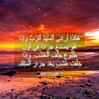Picture 05 - عَامُوس 7:1 AVD - هَكَذَا أَرَانِي - Bible Verse Picture