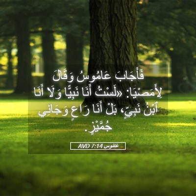 Picture 05 - عَامُوس 7:14 AVD - فَأَجَابَ عَامُوسُ - Bible Verse Picture