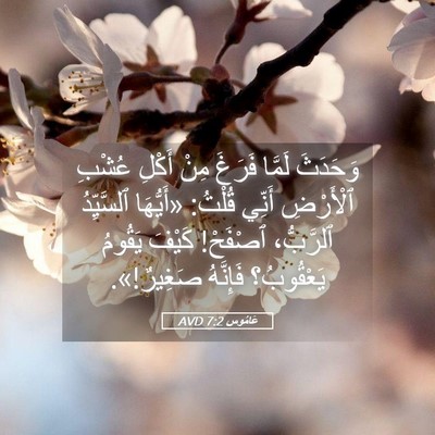 Picture 05 - عَامُوس 7:2 AVD - وَحَدَثَ لَمَّا فَرَغَ - Bible Verse Picture