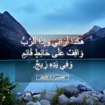 Picture 05 - عَامُوس 7:7 AVD - هَكَذَا أَرَانِي وَإِذَا - Bible Verse Picture