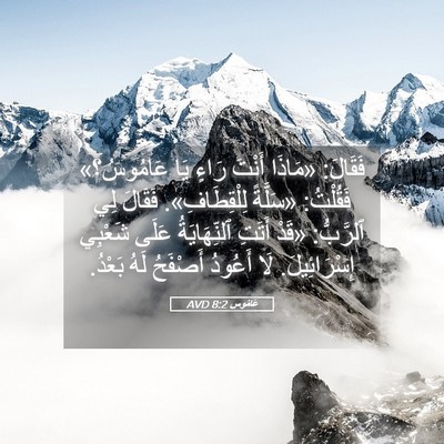 Picture 05 - عَامُوس 8:2 AVD - فَقَالَ: «مَاذَا أَنْتَ - Bible Verse Picture