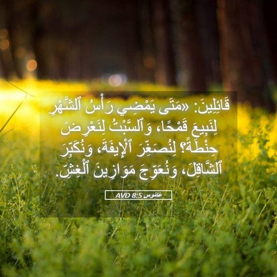 Picture 05 - عَامُوس 8:5 AVD - قَائِلِينَ: «مَتَى يَمْضِي - Bible Verse Picture
