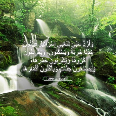 Picture 05 - عَامُوس 9:14 AVD - وَأَرُدُّ سَبْيَ شَعْبِي - Bible Verse Picture