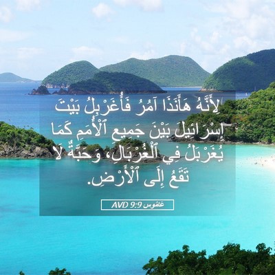 Picture 05 - عَامُوس 9:9 AVD - لِأَنَّهُ هَأَنَذَا آمُرُ - Bible Verse Picture