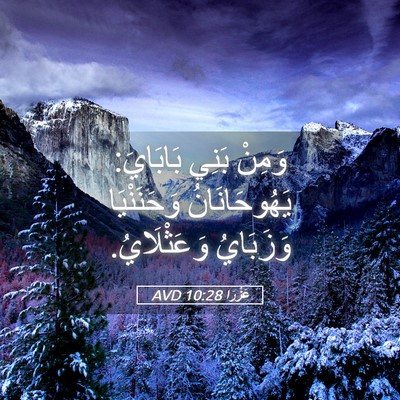 Picture 05 - عَزْرَا 10:28 AVD - وَمِنْ بَنِي بَابَايَ: - Bible Verse Picture
