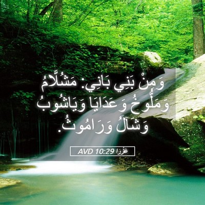 Picture 05 - عَزْرَا 10:29 AVD - وَمِنْ بَنِي بَانِي: - Bible Verse Picture