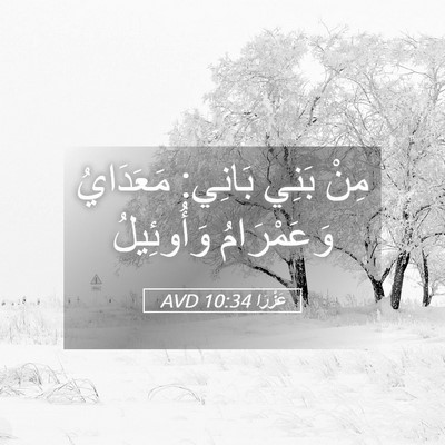 Picture 05 - عَزْرَا 10:34 AVD - مِنْ بَنِي بَانِي: - Bible Verse Picture