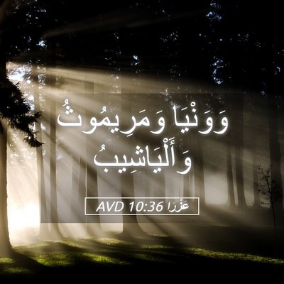 Picture 05 - عَزْرَا 10:36 AVD - وَوَنْيَا وَمَرِيمُوثُ - Bible Verse Picture