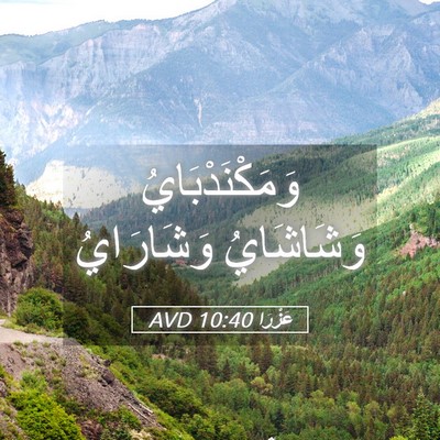 Picture 05 - عَزْرَا 10:40 AVD - وَمَكْنَدْبَايُ - Bible Verse Picture