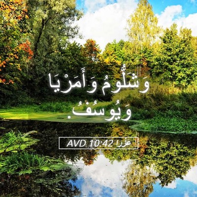 Picture 05 - عَزْرَا 10:42 AVD - وَشَلُّومُ وَأَمَرْيَا - Bible Verse Picture