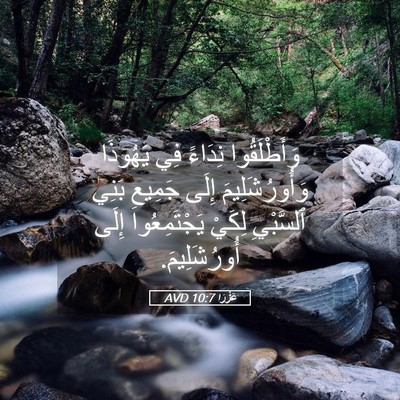Picture 05 - عَزْرَا 10:7 AVD - وَأَطْلَقُوا نِدَاءً فِي - Bible Verse Picture