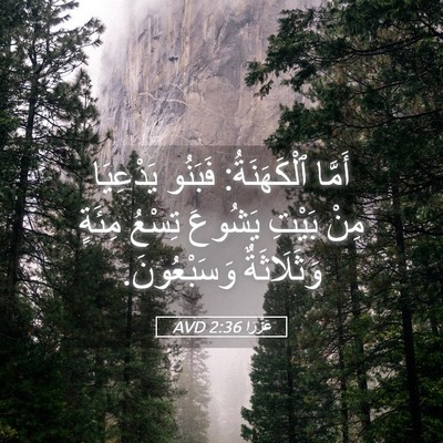 Picture 05 - عَزْرَا 2:36 AVD - أَمَّا ٱلْكَهَنَةُ: - Bible Verse Picture