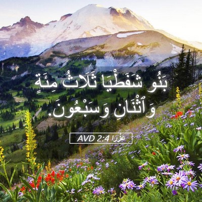 Picture 05 - عَزْرَا 2:4 AVD - بَنُو شَفَطْيَا ثَلَاثُ - Bible Verse Picture