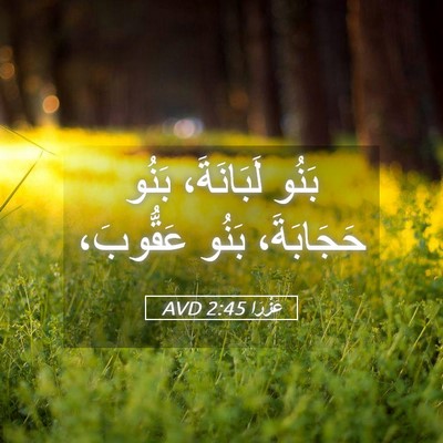 Picture 05 - عَزْرَا 2:45 AVD - بَنُو لَبَانَةَ، بَنُو - Bible Verse Picture