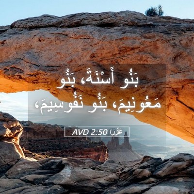 Picture 05 - عَزْرَا 2:50 AVD - بَنُو أَسْنَةَ، بَنُو - Bible Verse Picture
