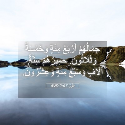 Picture 05 - عَزْرَا 2:67 AVD - جِمَالُهُمْ أَرْبَعُ - Bible Verse Picture