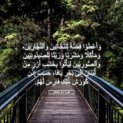 Picture 05 - عَزْرَا 3:7 AVD - وَأَعْطَوْا فِضَّةً - Bible Verse Picture