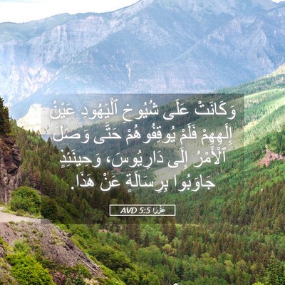Picture 05 - عَزْرَا 5:5 AVD - وَكَانَتْ عَلَى شُيُوخِ - Bible Verse Picture