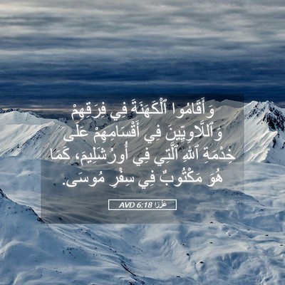 Picture 05 - عَزْرَا 6:18 AVD - وَأَقَامُوا ٱلْكَهَنَةَ - Bible Verse Picture