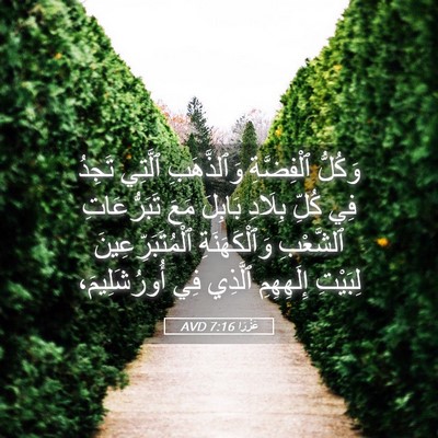 Picture 05 - عَزْرَا 7:16 AVD - وَكُلُّ ٱلْفِضَّةِ - Bible Verse Picture