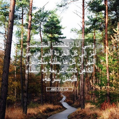 Picture 05 - عَزْرَا 7:21 AVD - وَمِنِّي أَنَا - Bible Verse Picture