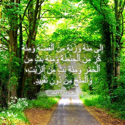 Picture 05 - عَزْرَا 7:22 AVD - إِلَى مِئَةِ وَزْنَةٍ مِنَ - Bible Verse Picture