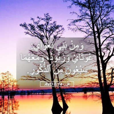 Picture 05 - عَزْرَا 8:14 AVD - وَمِنْ بَنِي بَغْوَايَ: - Bible Verse Picture
