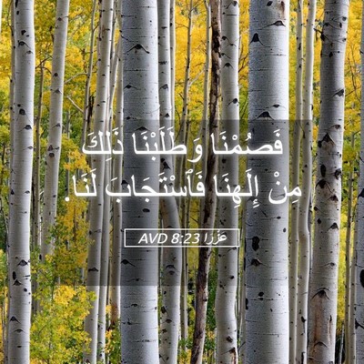 Picture 05 - عَزْرَا 8:23 AVD - فَصُمْنَا وَطَلَبْنَا - Bible Verse Picture