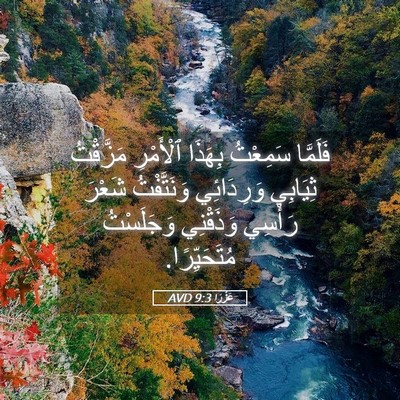 Picture 05 - عَزْرَا 9:3 AVD - فَلَمَّا سَمِعْتُ بِهَذَا - Bible Verse Picture