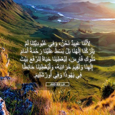 Picture 05 - عَزْرَا 9:9 AVD - لِأَنَّنَا عَبِيدٌ - Bible Verse Picture