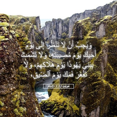 Picture 05 - عُوبَدْيَا 1:12 AVD - وَيَجِبُ أَنْ لَا تَنْظُرَ - Bible Verse Picture