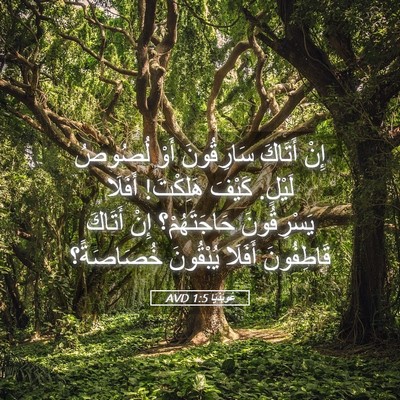 Picture 05 - عُوبَدْيَا 1:5 AVD - إِنْ أَتَاكَ سَارِقُونَ - Bible Verse Picture